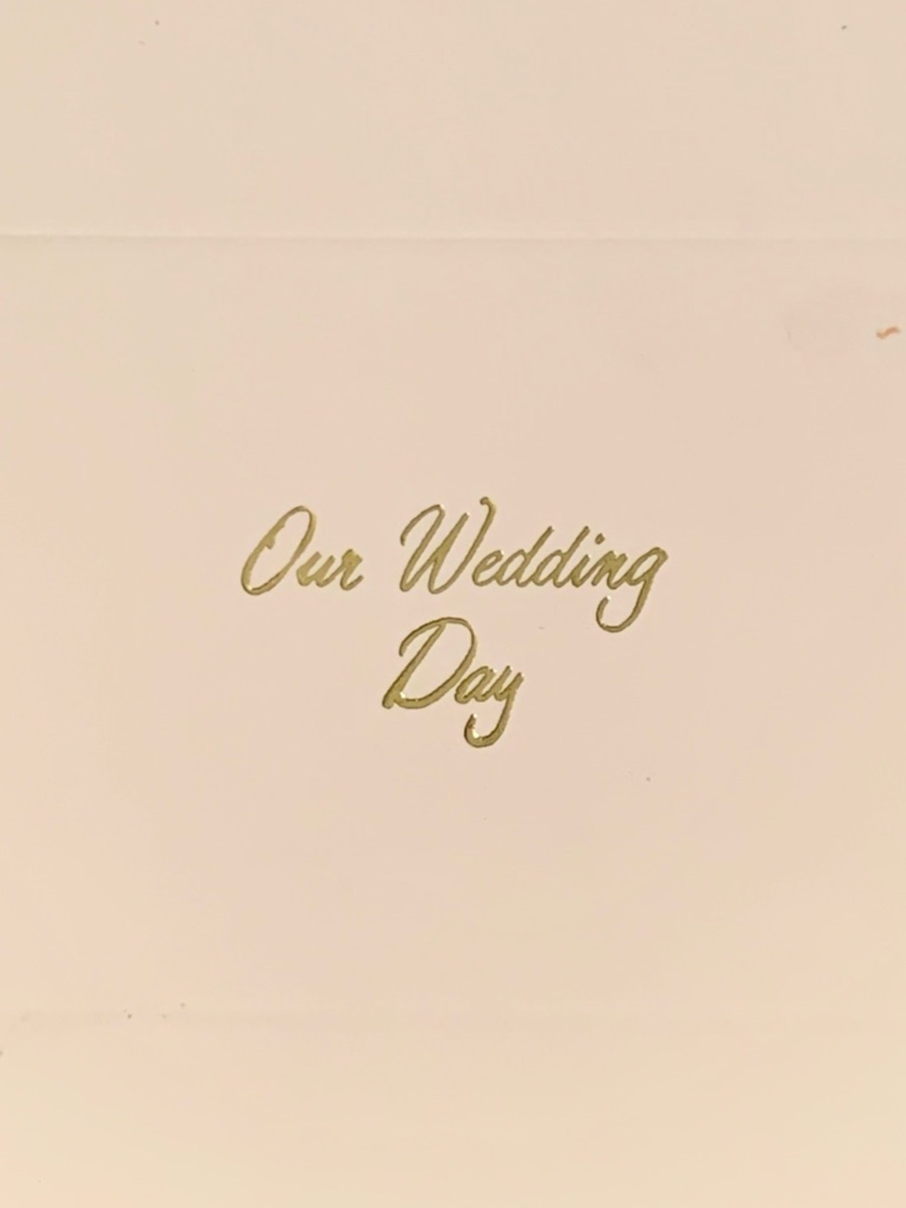 Set of 50 Wedding Cake Favor Boxes